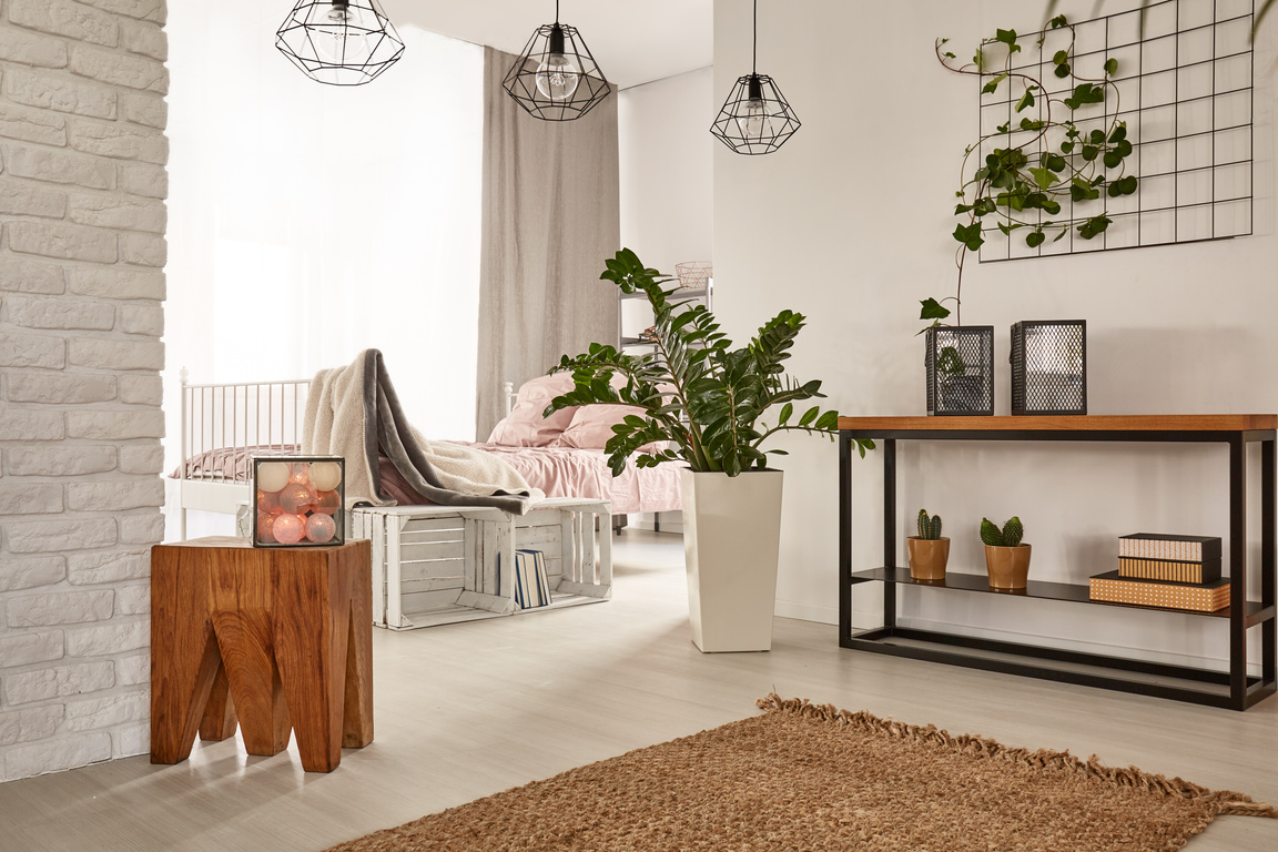 Modernly designed apartment